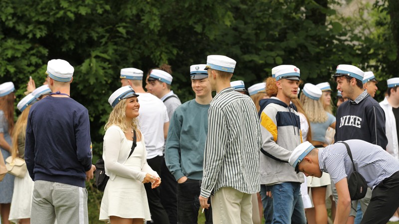 Hf Studenter